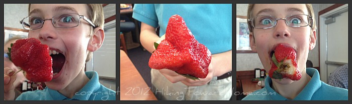 Picnik collagestrawberry700pxw