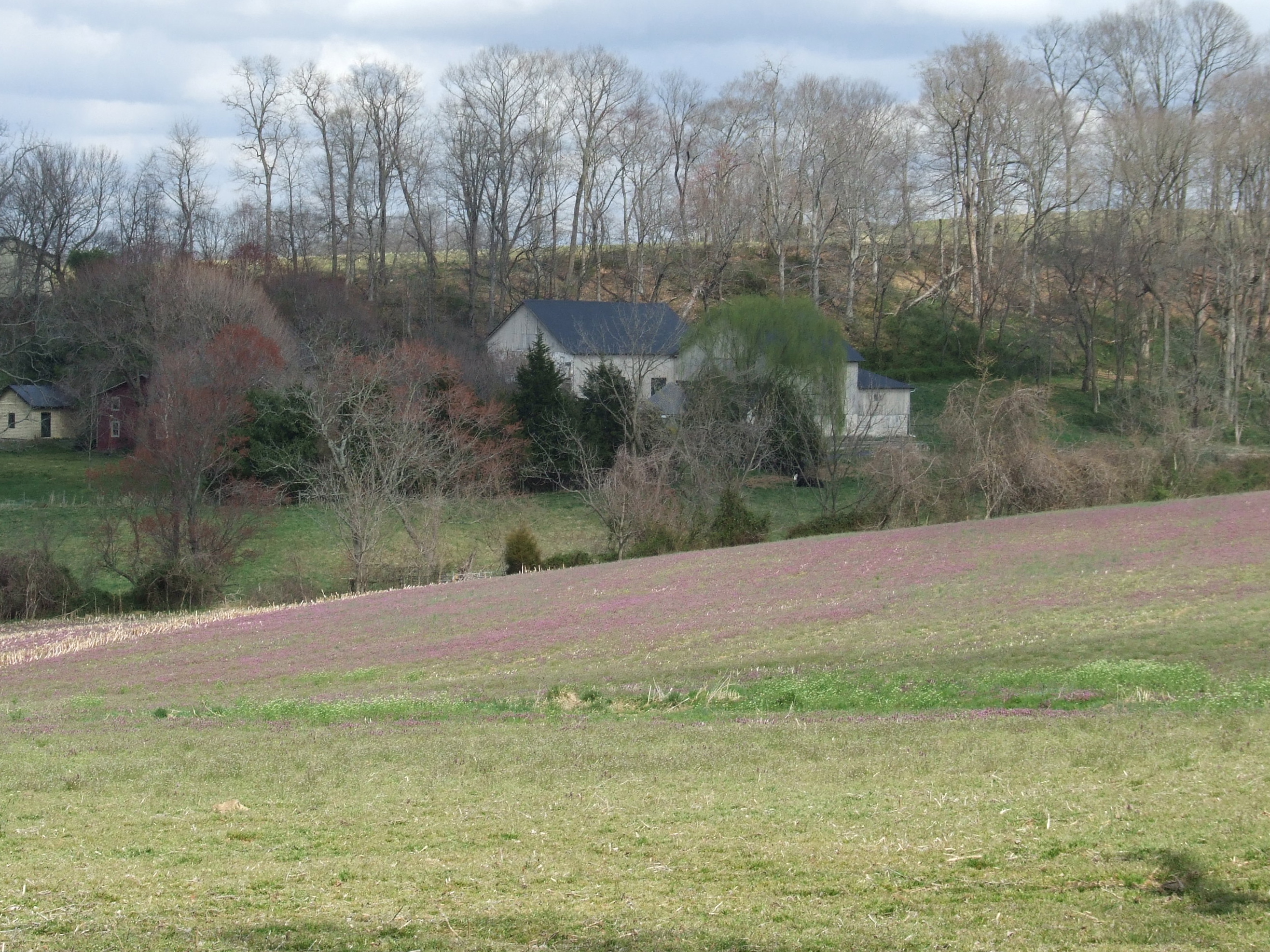 DSCF1398