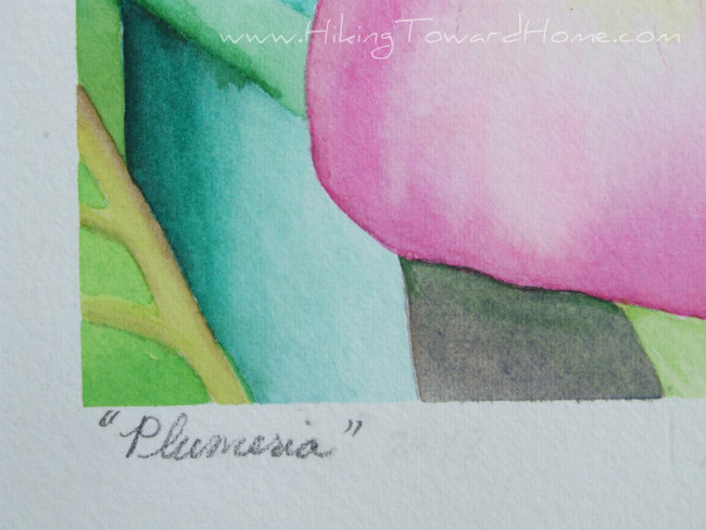 Plumeria-2