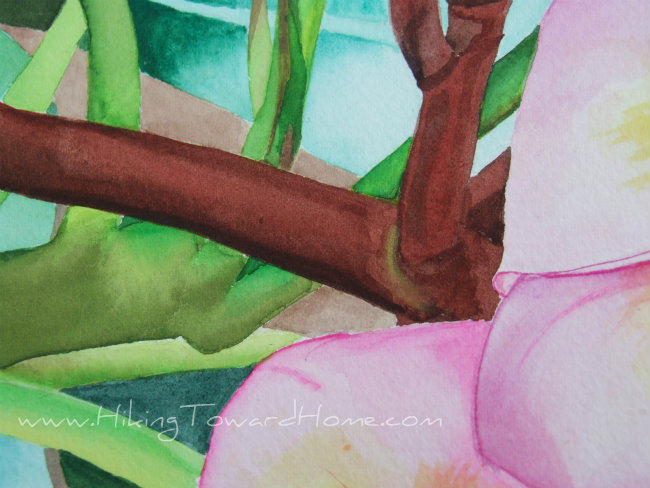 Plumeria-4