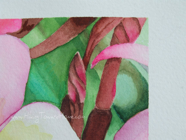 Plumeria-5