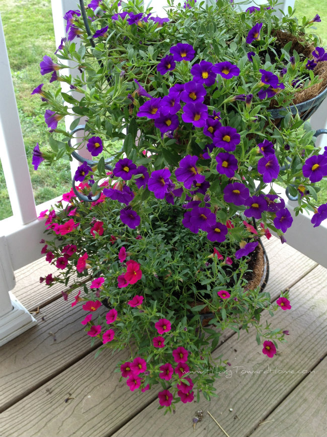 bloomsoverflow