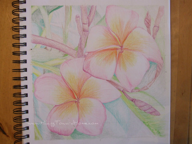 drawing2
