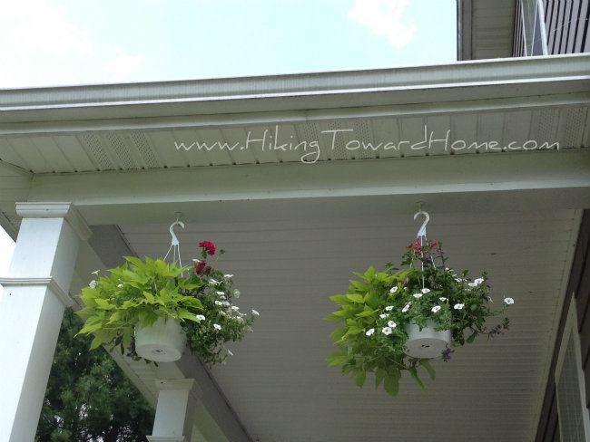 hangingpots