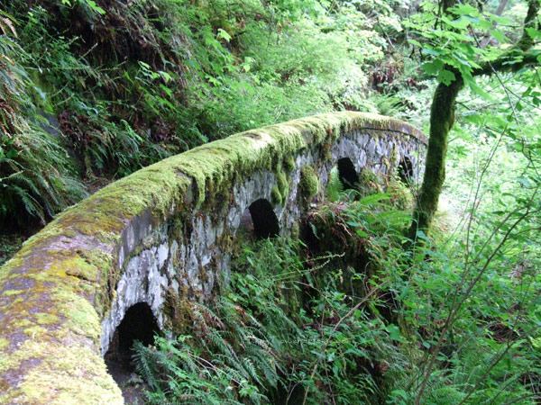 PathtoShepherdsDellOR
