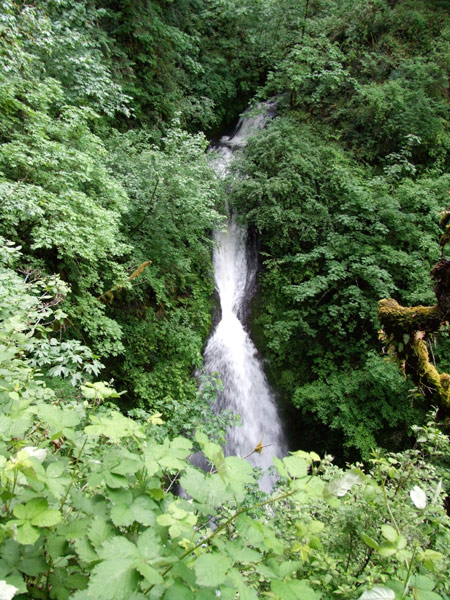 ShepherdsDellFallsOR