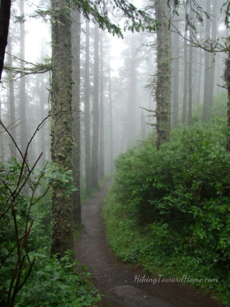 sitkapathwayfog