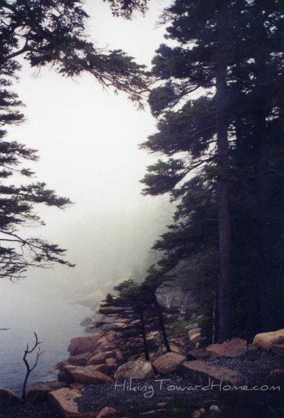 Acadia_fog